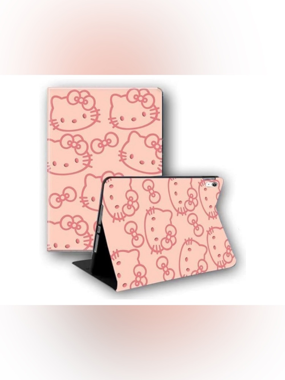 Hello Kitty case